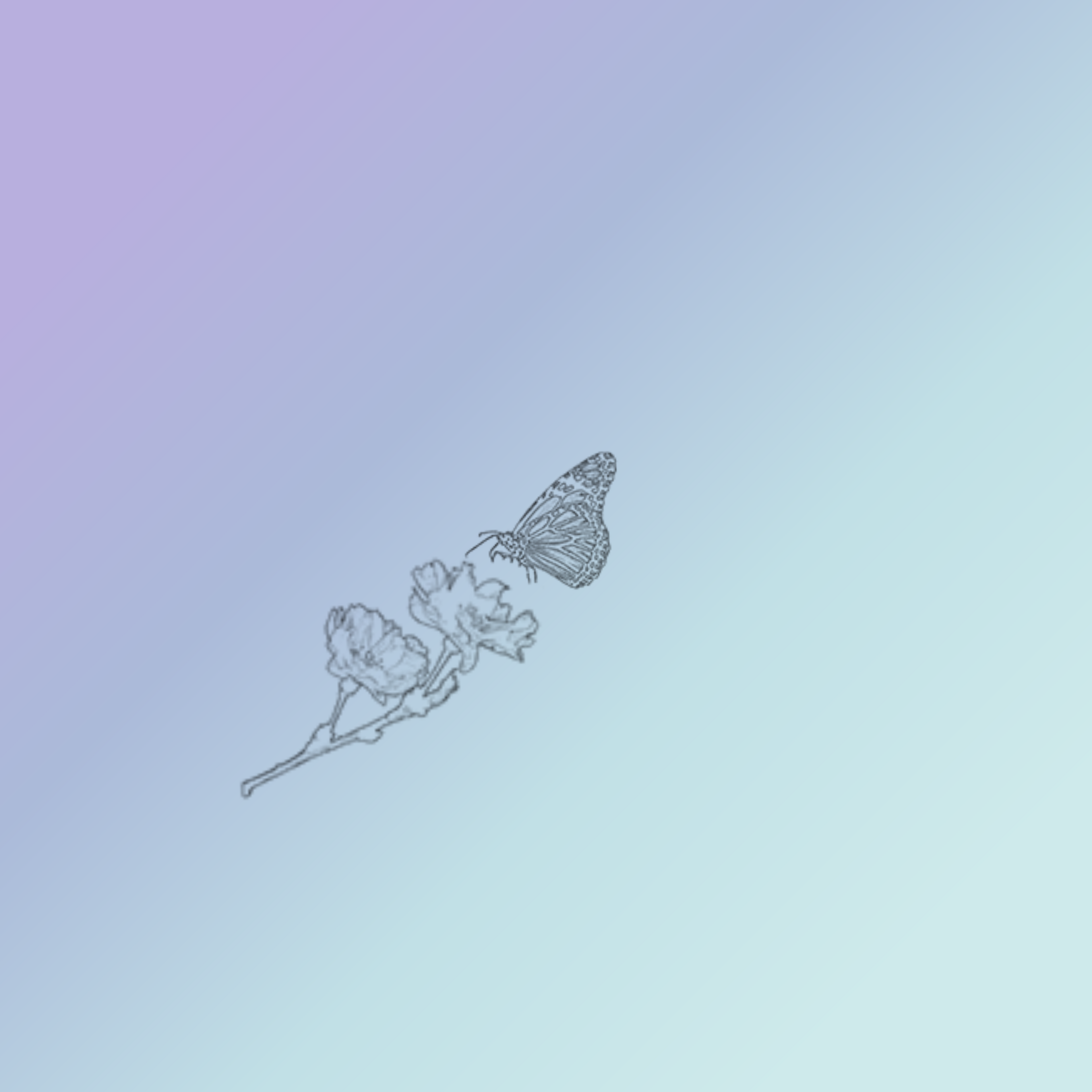 The Butterfly Effect