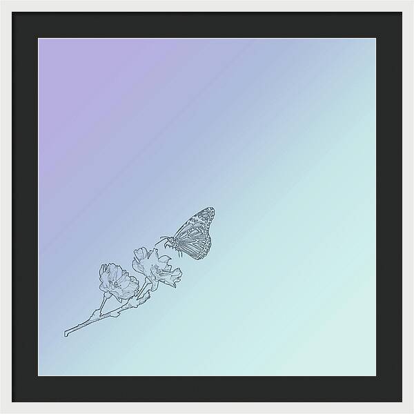 The Butterfly Effect - Framed Print