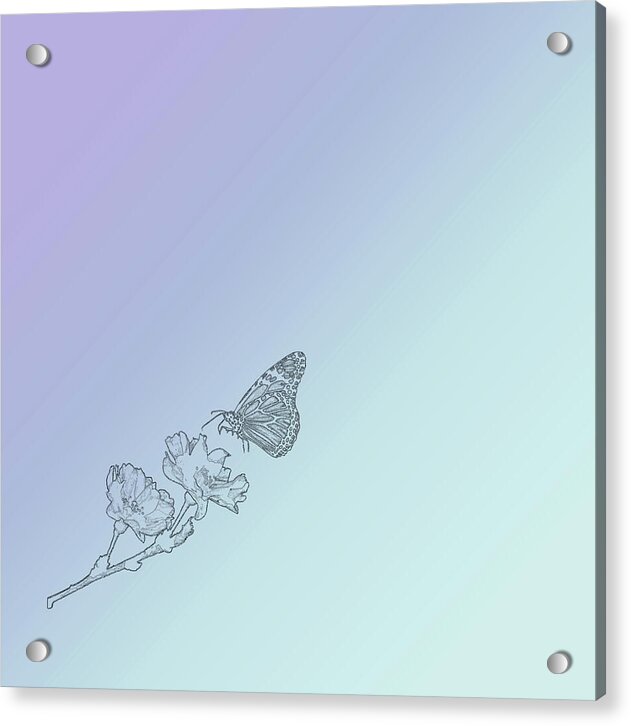 The Butterfly Effect - Acrylic Print