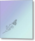 The Butterfly Effect - Metal Print