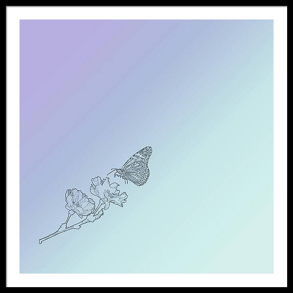The Butterfly Effect - Framed Print